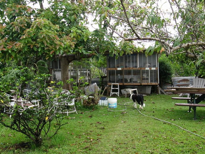 hutches in a backyard that is NOT on a hillside
