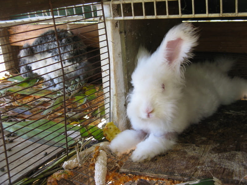 Cloud lounging by Zephyr's space