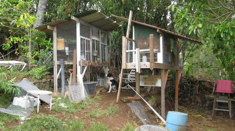 wood framed bunny hutch on a hillside