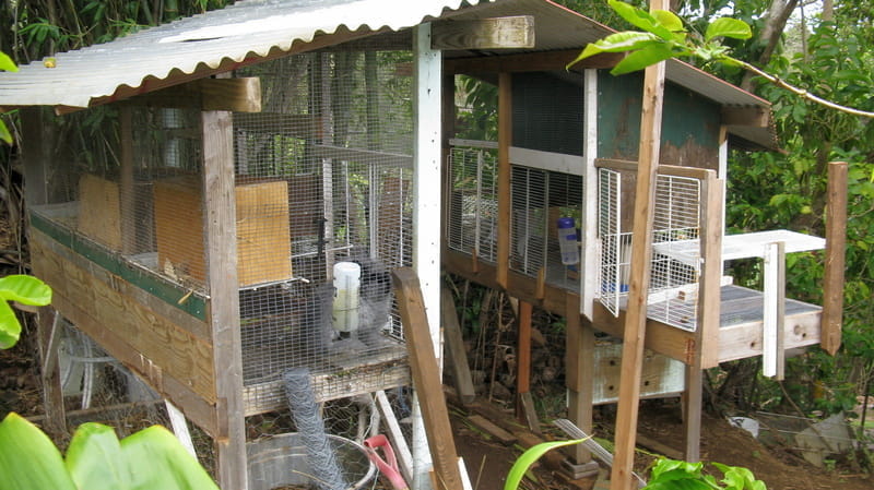 different view of the two hutches