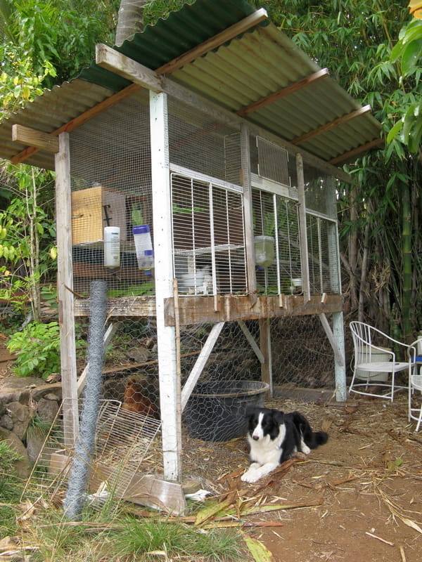 wood framed bunny hutch on a hillside