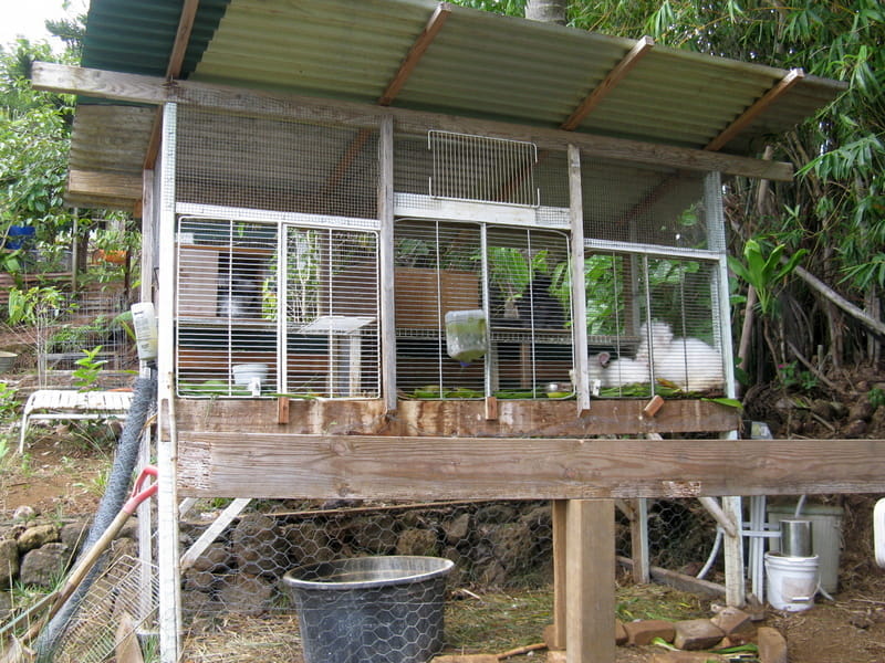 Front view of the first big backyard hutch