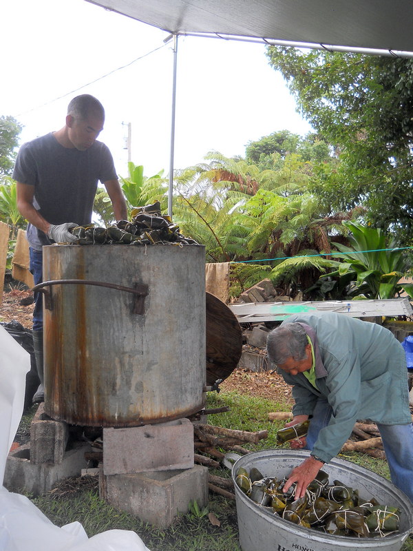 loading laulau into a big steamer