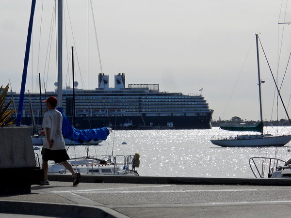 View of the Westerdam across San Diego harbor