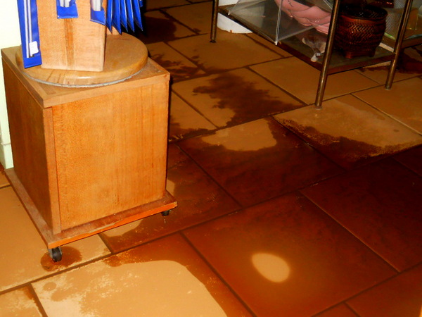 mudflood in the shop