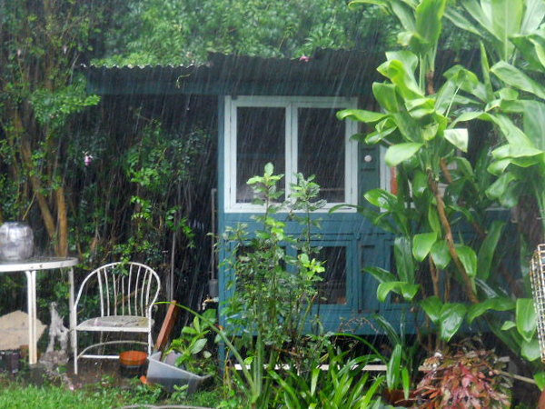 rain on the bunny hutch