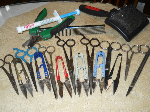 neatly lined up grooming tools