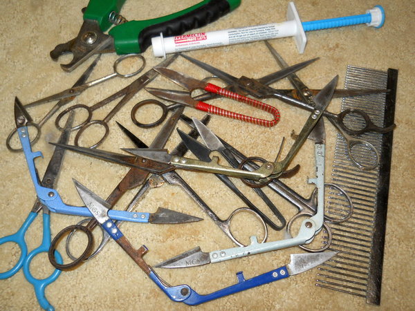 assorted pile of grooming tools