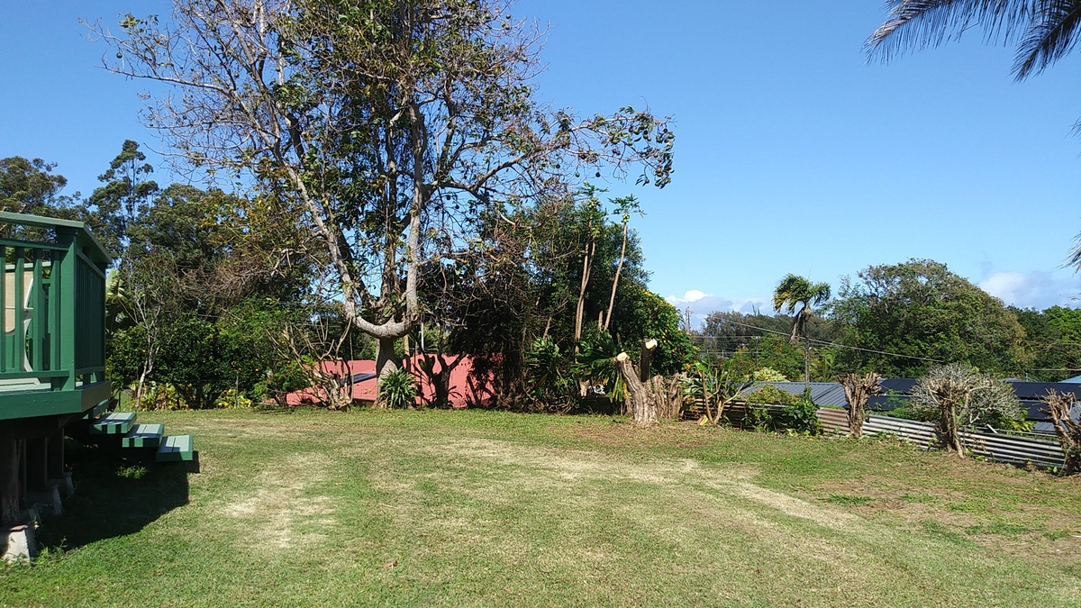 view of the back yard